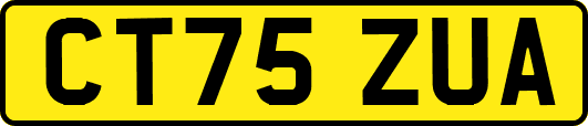 CT75ZUA
