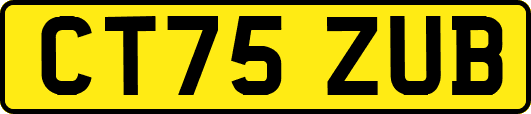 CT75ZUB