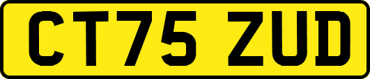 CT75ZUD