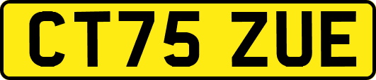 CT75ZUE