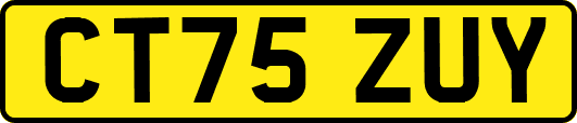 CT75ZUY