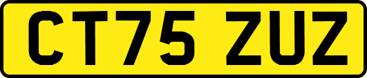 CT75ZUZ