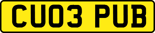 CU03PUB