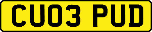 CU03PUD