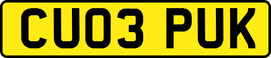 CU03PUK