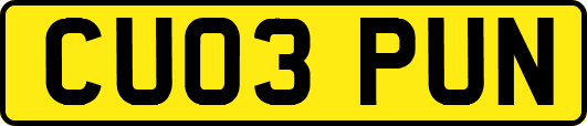 CU03PUN