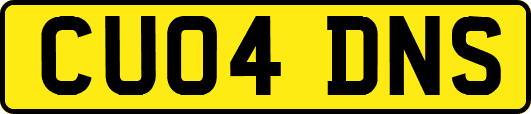 CU04DNS