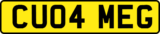 CU04MEG