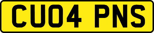CU04PNS
