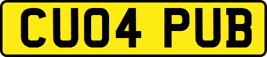 CU04PUB