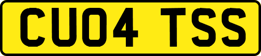 CU04TSS