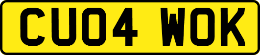 CU04WOK
