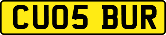 CU05BUR
