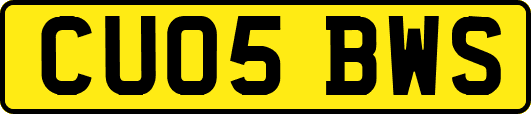 CU05BWS