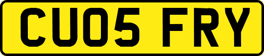 CU05FRY