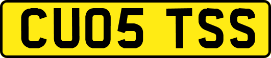 CU05TSS