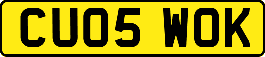 CU05WOK
