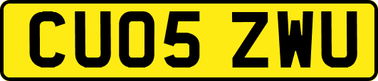 CU05ZWU