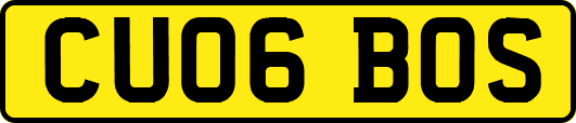 CU06BOS