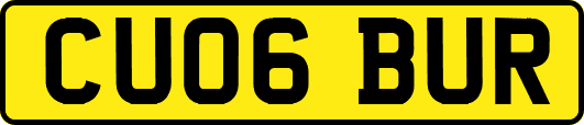 CU06BUR