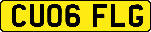 CU06FLG