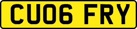 CU06FRY