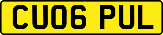 CU06PUL