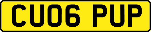 CU06PUP