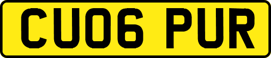 CU06PUR