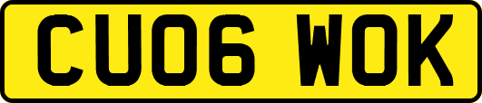 CU06WOK
