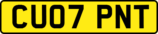 CU07PNT
