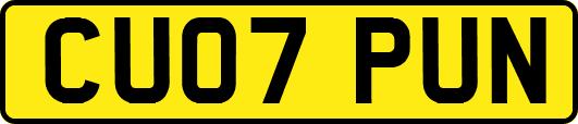 CU07PUN