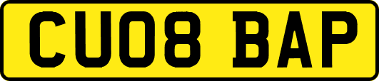 CU08BAP
