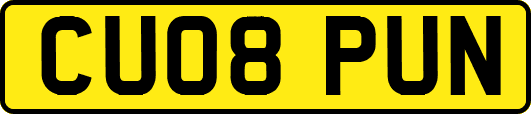CU08PUN