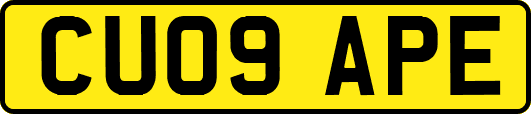 CU09APE