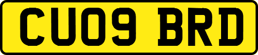 CU09BRD