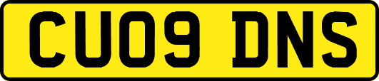CU09DNS