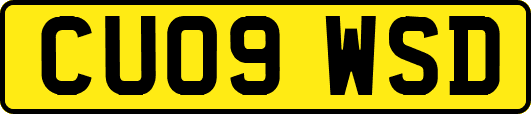 CU09WSD