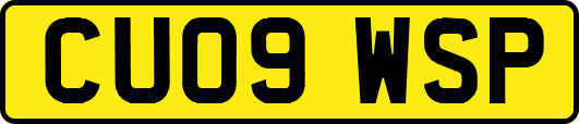 CU09WSP