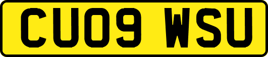 CU09WSU