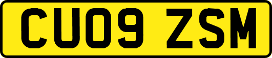 CU09ZSM