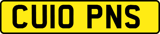CU10PNS