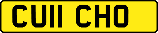 CU11CHO