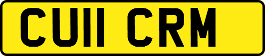 CU11CRM