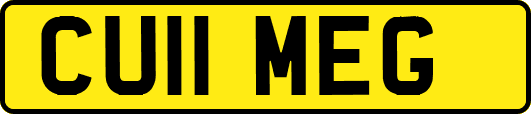 CU11MEG