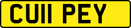 CU11PEY