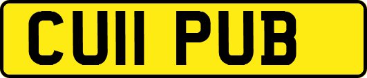 CU11PUB