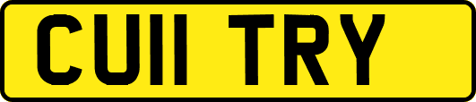 CU11TRY