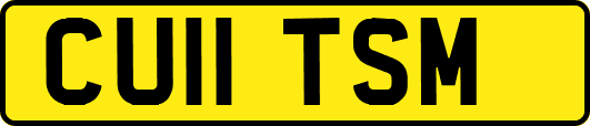 CU11TSM