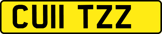 CU11TZZ